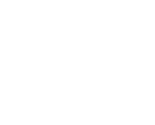 Gato IT