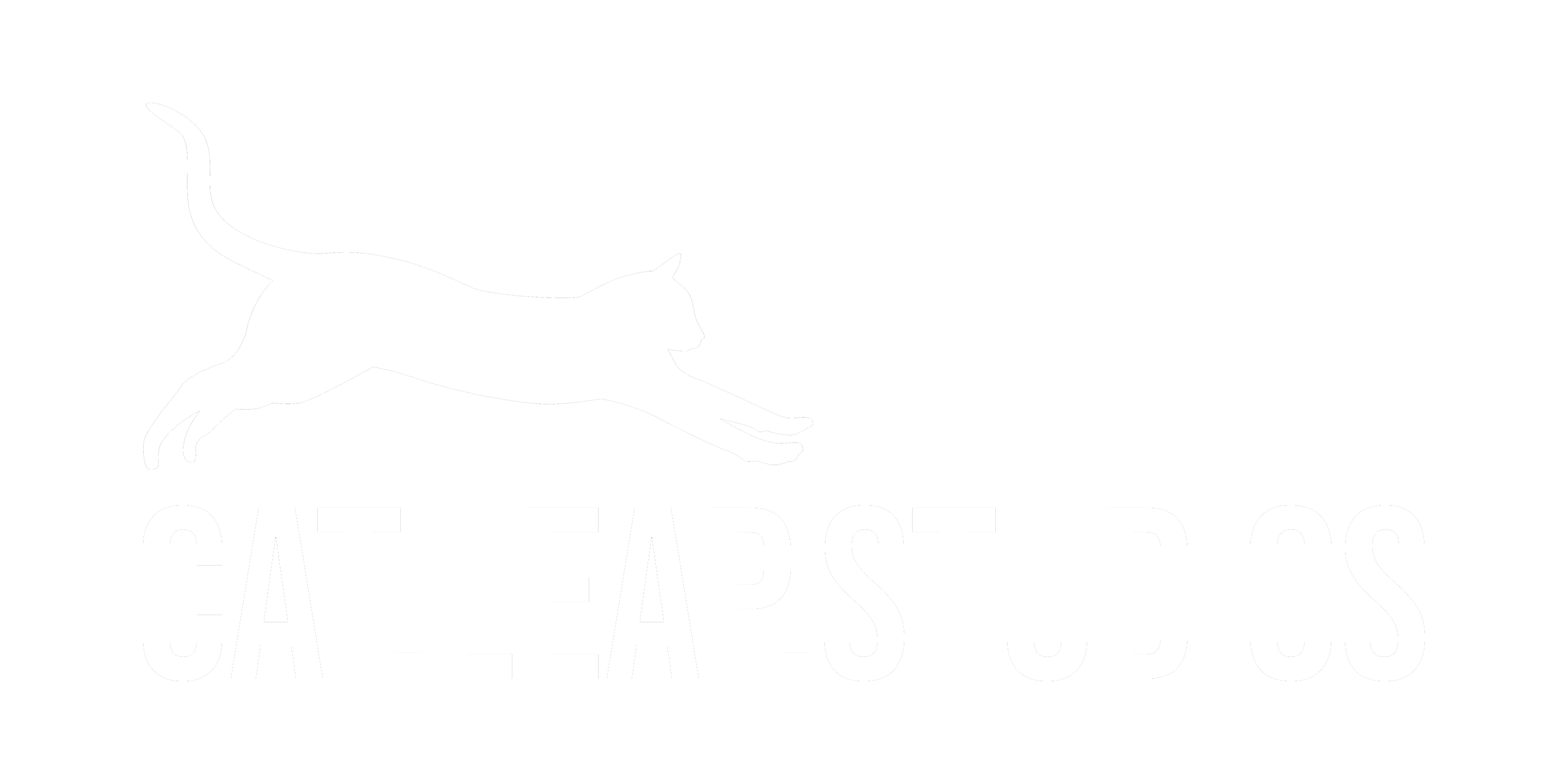 Cat Leap Studios